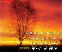ما لي ولِلدّنيا