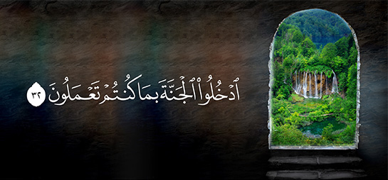 سبب دخول الجنة