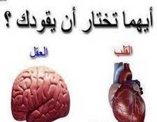 عندما تحب المرأة بعقلها