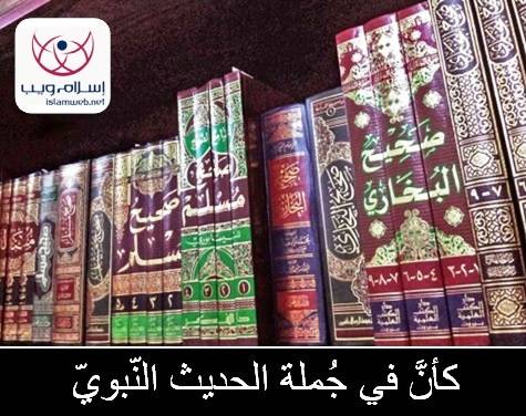 (كَأنَّ) في جُملة الحديث النّبويّ