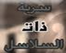 دروس من سرية ذات السلاسل