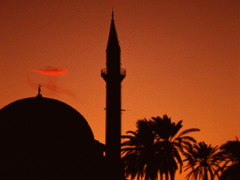 شفاء المرضى